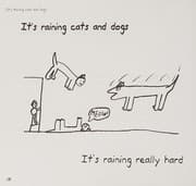 Tapa de It's raining cats and dogs