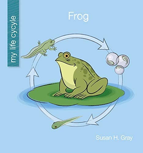 Tapa de Frog