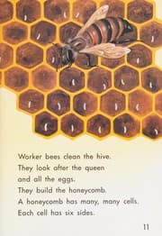 Tapa de Honey bees
