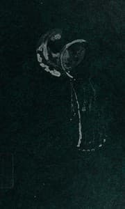 Tapa de Ezekiel 20-48