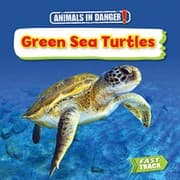 Tapa de Green Sea Turtles