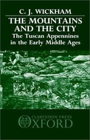 Tapa de The mountains and the city