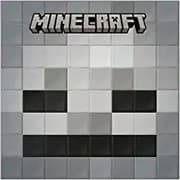Tapa de I Survived a Skeleton! (Mobs of Minecraft #2)