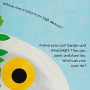 Tapa de Whose Eyes Are These?