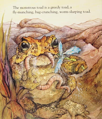 Tapa de Toad