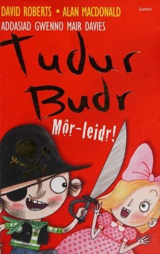 Tapa de Tudur Budr