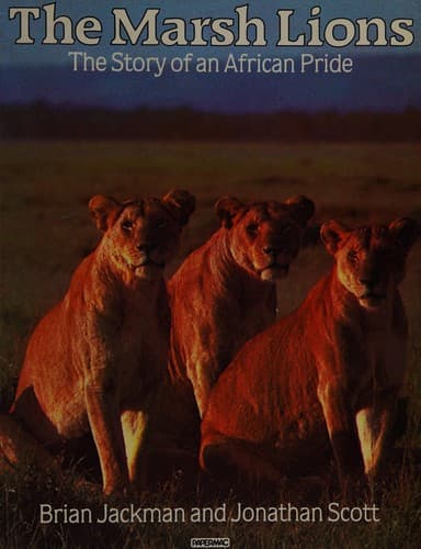 Tapa de The marsh lions