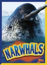 Tapa de Narwhals