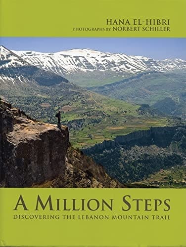 Tapa de Million Steps