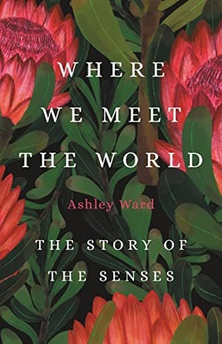 Tapa de Where We Meet the World