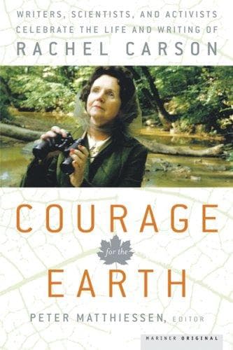 Tapa de Courage for the Earth