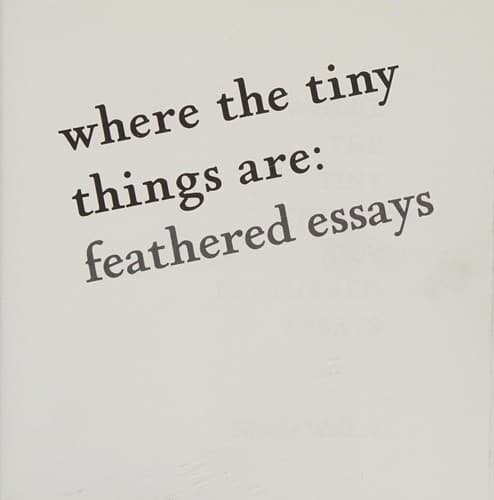 Tapa de Where the Tiny Things Are