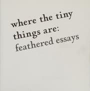 Tapa de Where the Tiny Things Are
