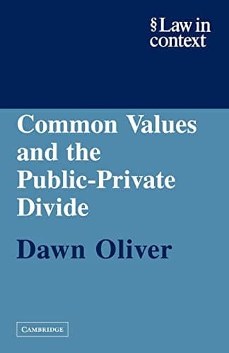 Tapa de Common Values and the Public-Private Divide