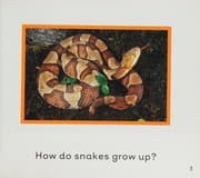 Tapa de A snake grows up