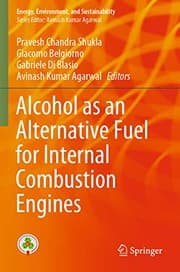 Tapa de Alcohol As an Alternative Fuel for Internal Combustion Engines