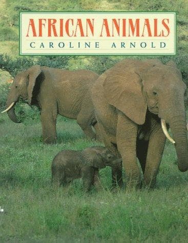 Tapa de African animals