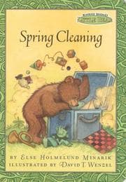 Tapa de Spring cleaning
