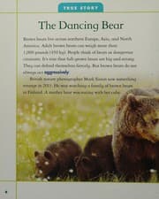 Tapa de True Stories of Animal Antics