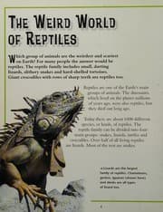 Tapa de Reptiles