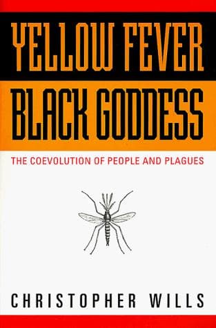 Tapa de Yellow Fever, Black Goddess