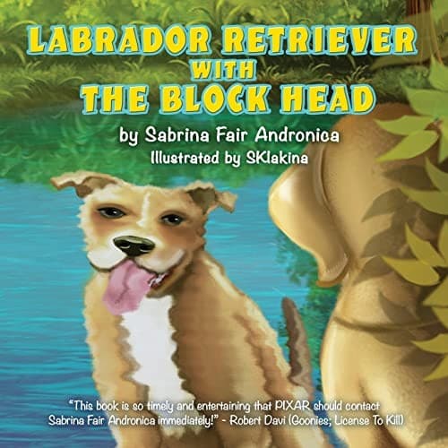 Tapa de Labrador Retriever with the Block Head