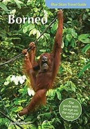 Tapa de Borneo