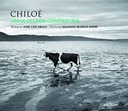 Tapa de Chiloe, unha ollada compartida
