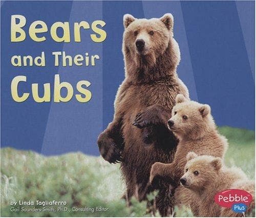 Tapa de Bears and Their Cubs