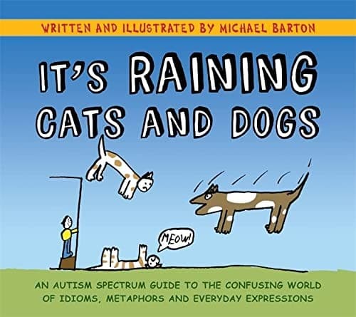 Tapa de It's Raining Cats and Dogs