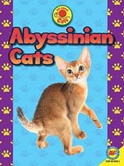Tapa de Abyssinian Cats