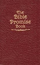 Tapa de Bible Promise Book