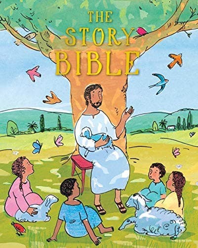 Tapa de Story Bible