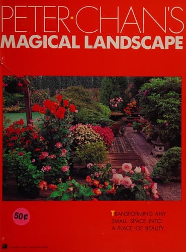 Tapa de Magical landscape