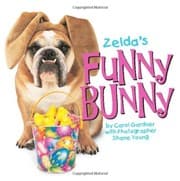 Tapa de Zelda's Funny Bunny