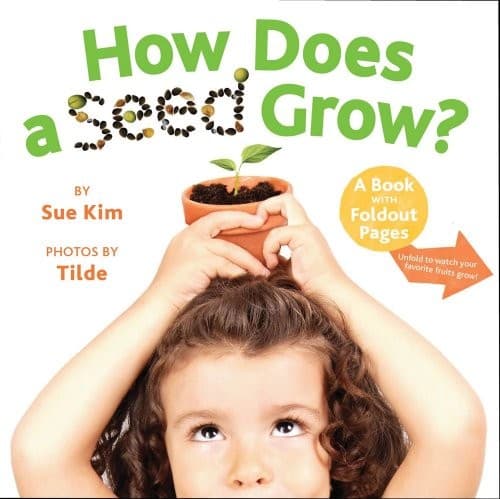 Tapa de How does a seed grow?