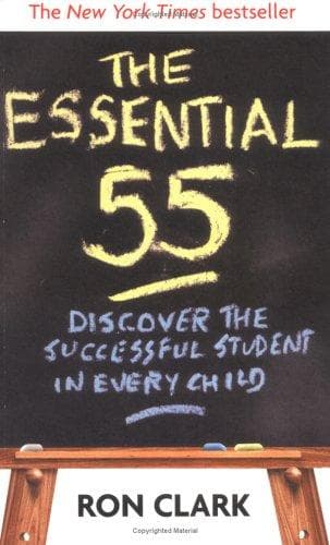 Tapa de The Essential 55
