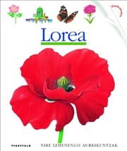 Tapa de Lorea