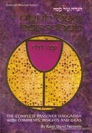 Tapa de Anah Dodi Haggadah