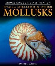 Tapa de Snails, shellfish & other mollusks
