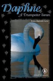 Tapa de Daphne: A Trumpeter Swan (Cover-to-Cover Chapter Books: Animal Adv.-Air)