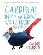 Tapa de Cardinal in My Window with a Mask on Its Beak