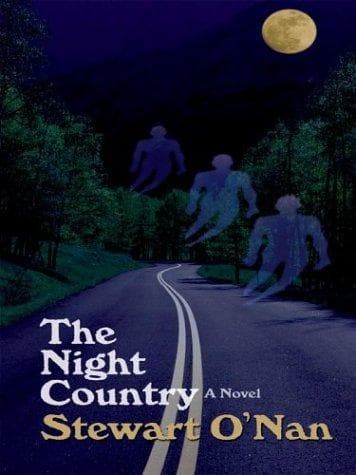 Tapa de The night country