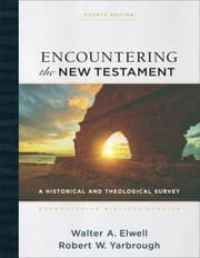 Tapa de Encountering the New Testament