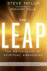 Tapa de Leap