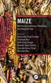 Tapa de Maize