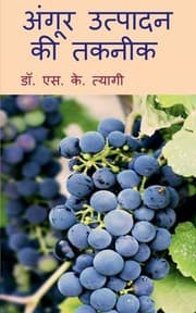 Tapa de Angoor Utpadan Ki Takneek / अंगूर उत्पादन की तकनीक