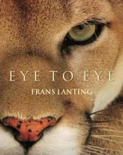 Tapa de Eye to Eye
