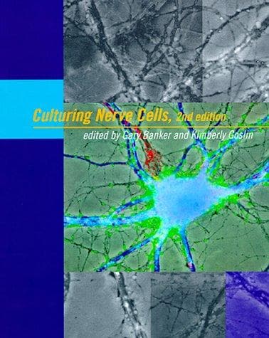 Tapa de Culturing nerve cells