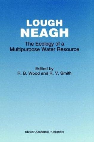 Tapa de Lough Neagh